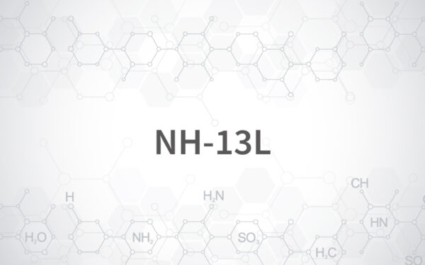 NH-13L