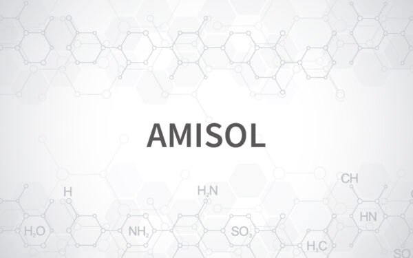 AMISOL